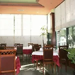Ylli I Detit Hotel