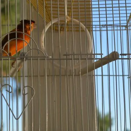 Hotel Ylli I Detit Durrës